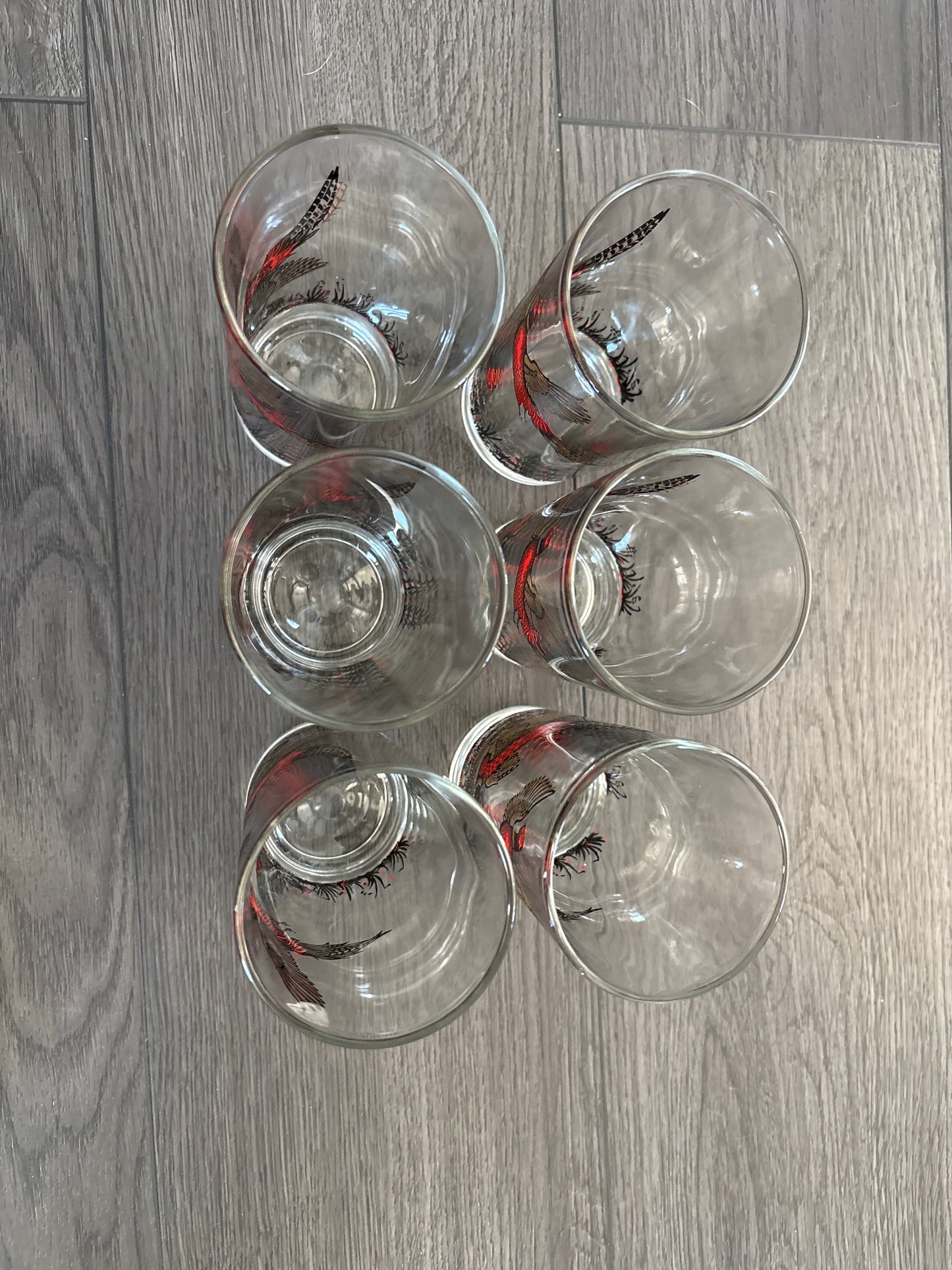 Hazel Atlas Ring Necked Pheasant Tumblers | Set of 6