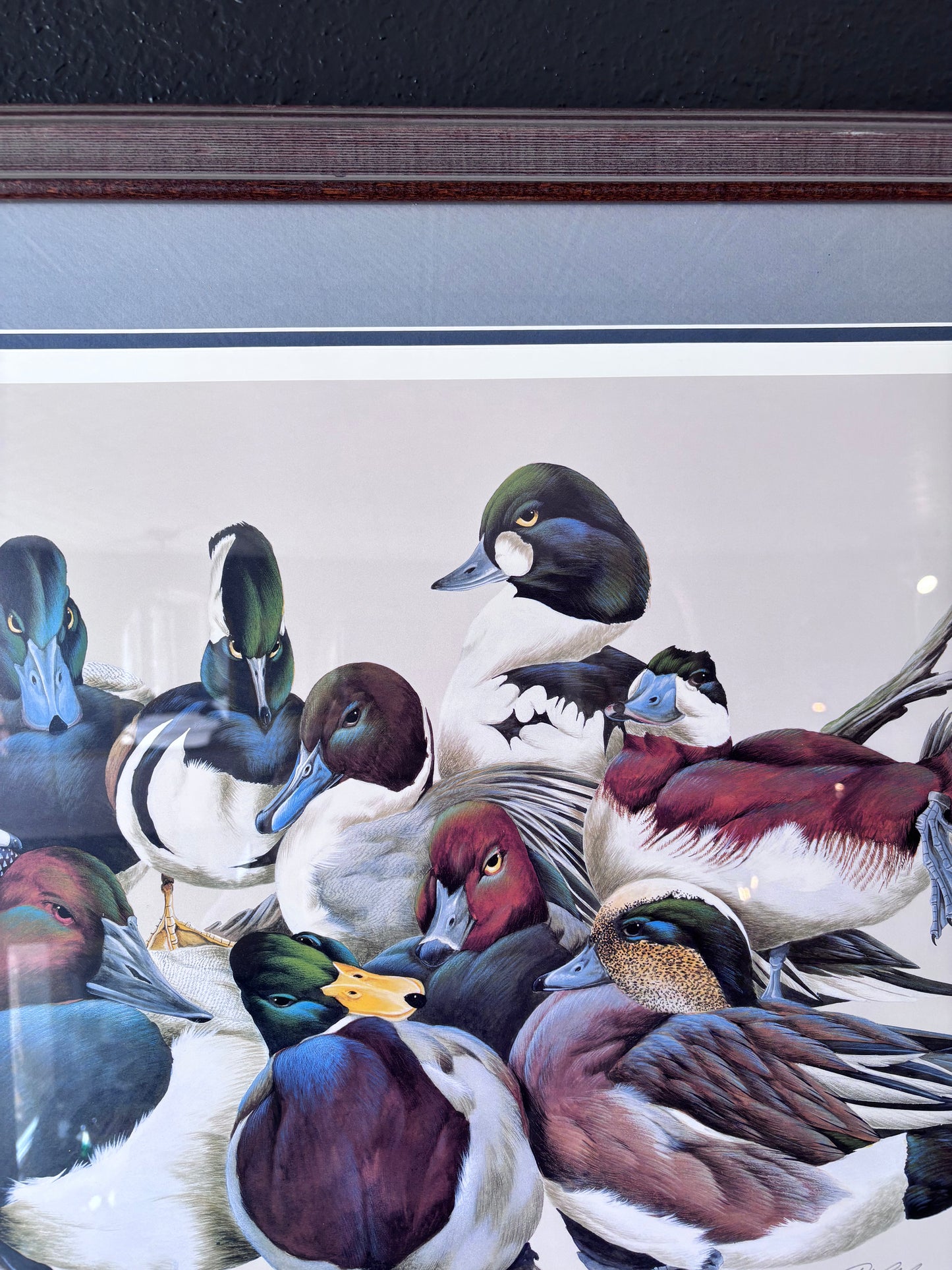 “The Reunion” Duck Print