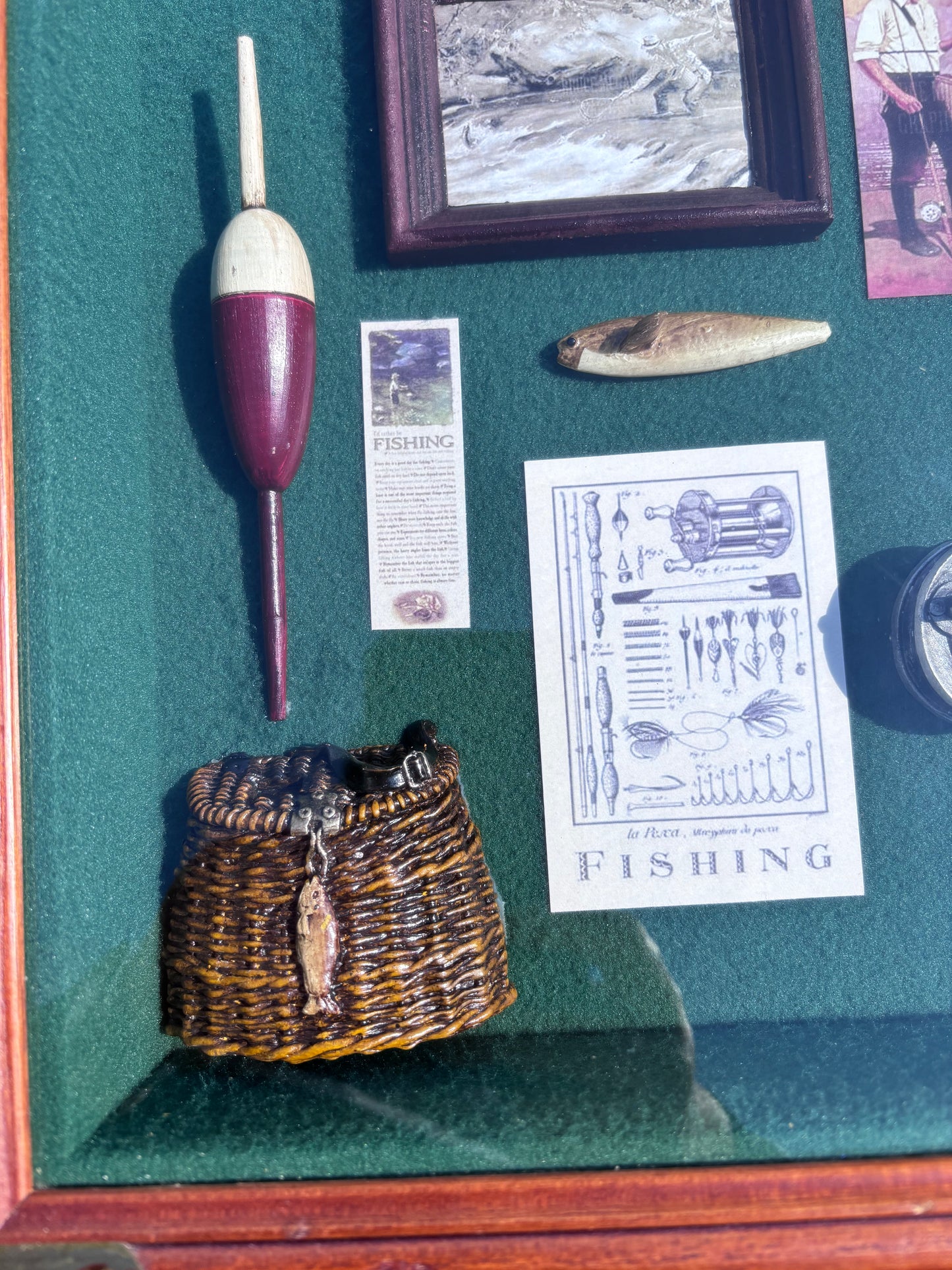 Fish Shadow Box