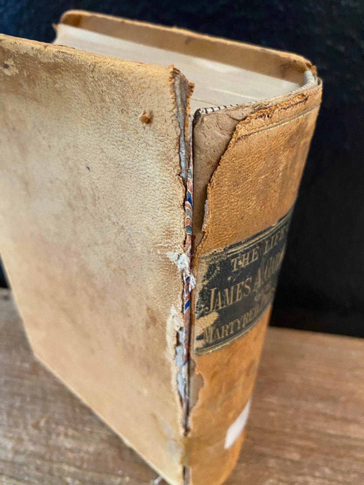 ‘The Life Of James Garfield’ Antique Book