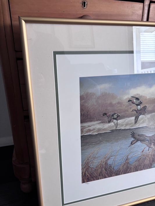 Charles E Murphy Framed Duck Print