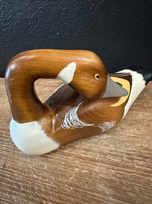 Painted Wood Duck