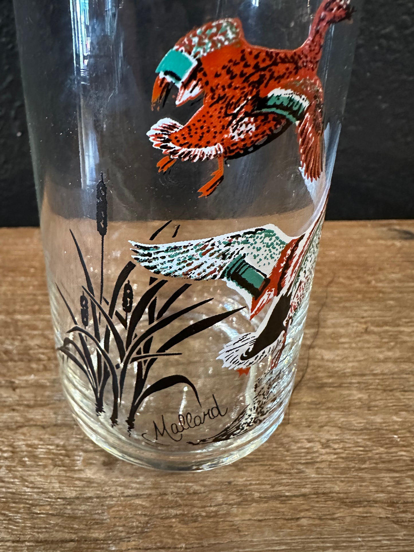 Vintage Waterfowl Themed Highball Glasses | Set Of 4