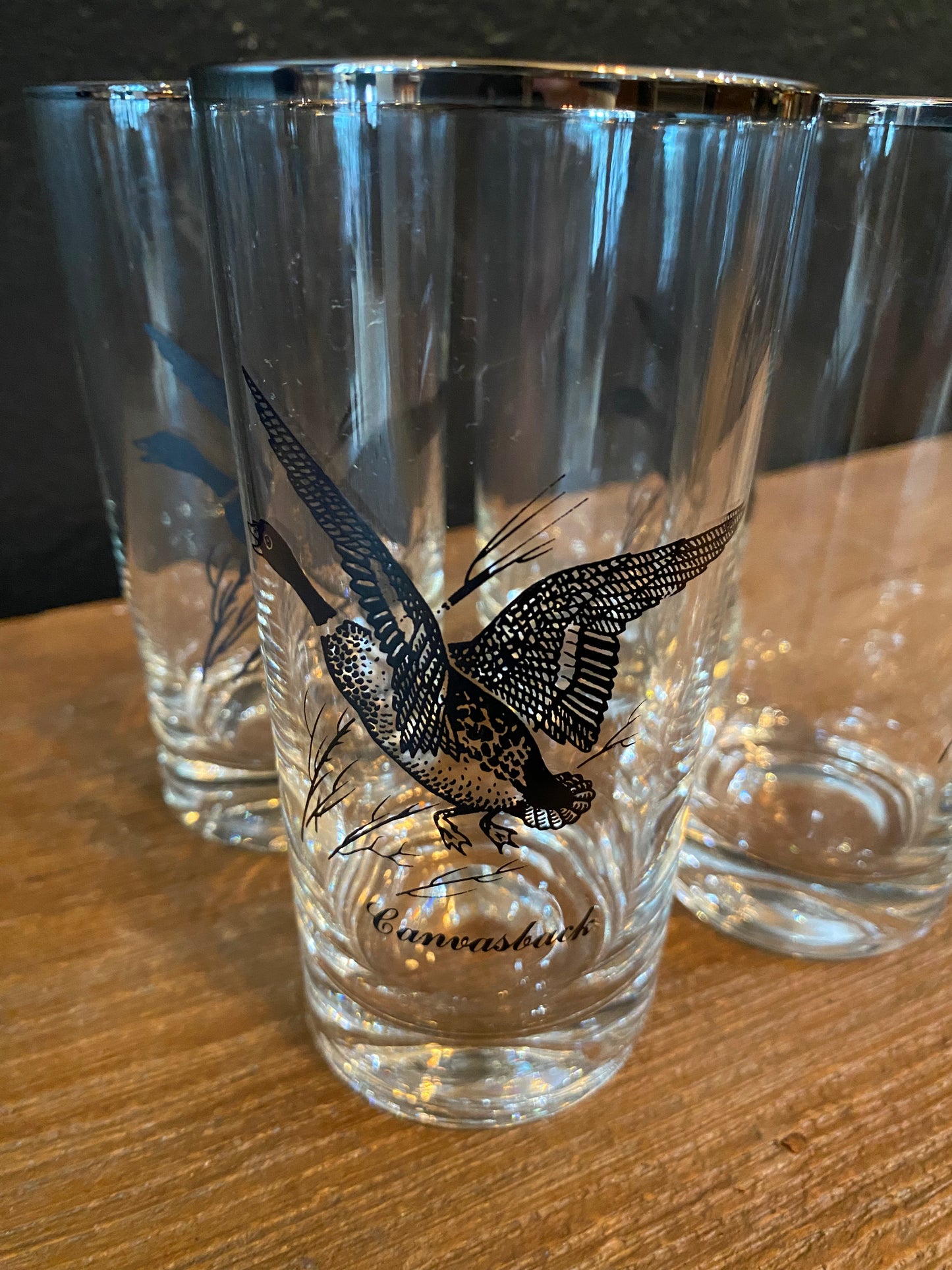 Waterfowl Glasses | Set Of Four Canvasback