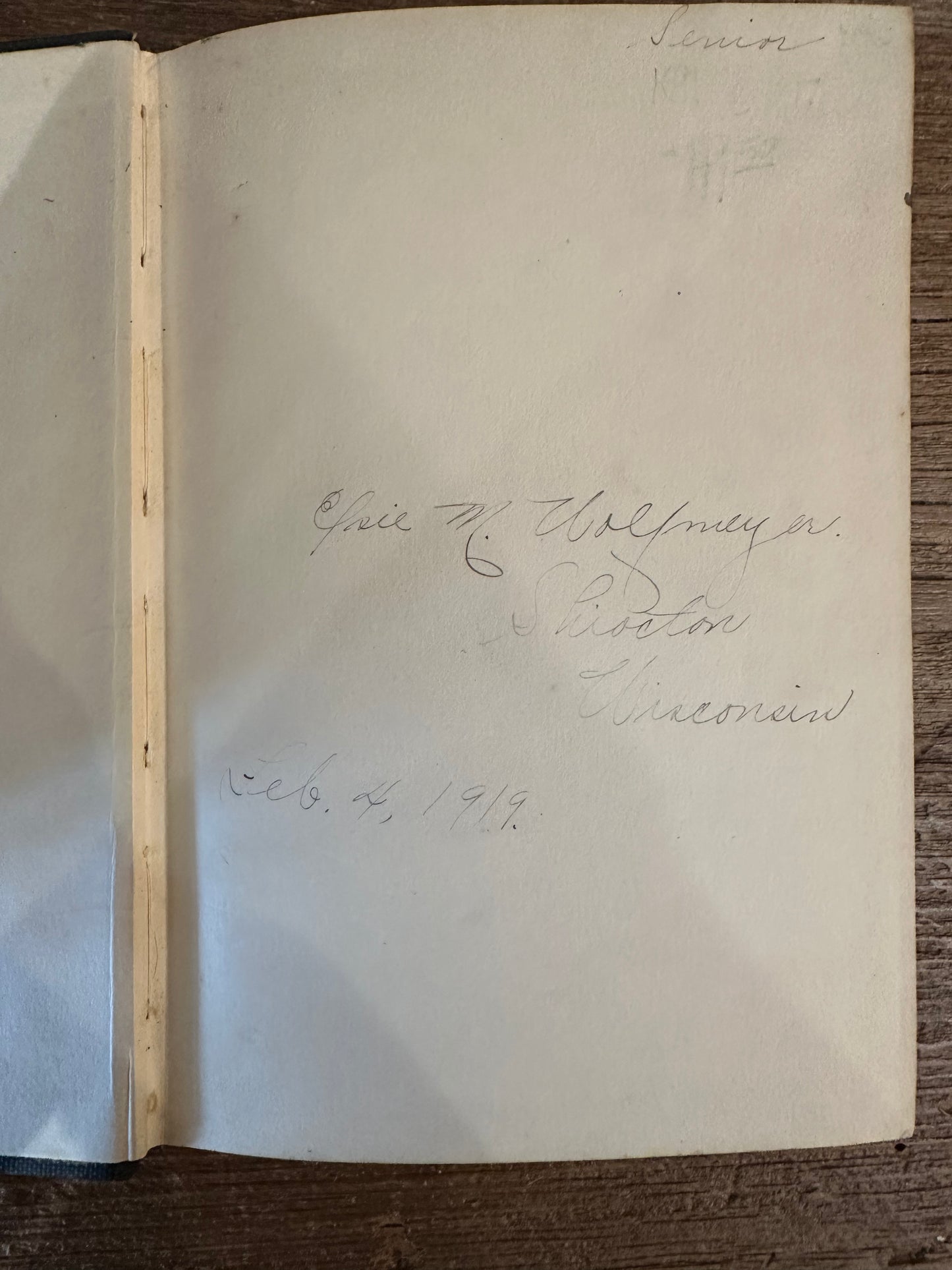 Antique Book ‘American Government’ ~ 1917