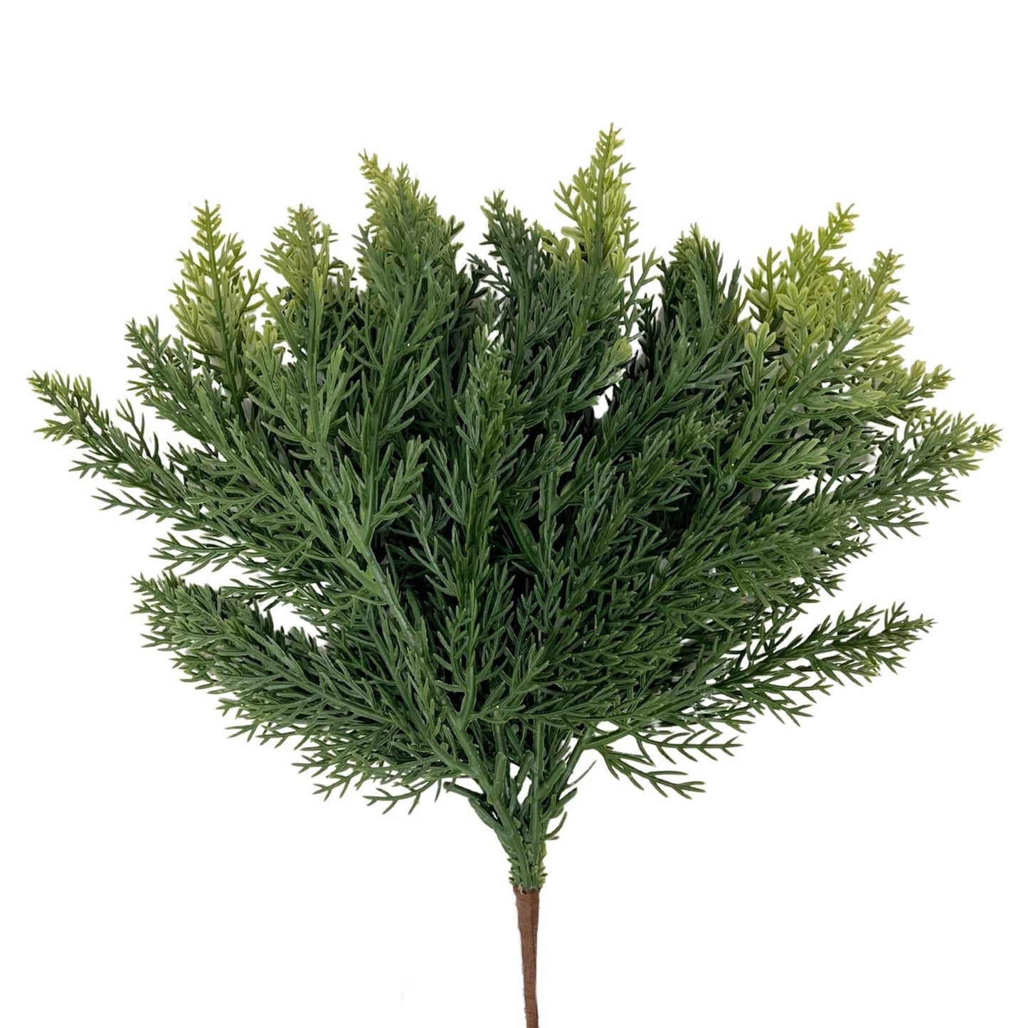Fresh Touch Cedar Pick