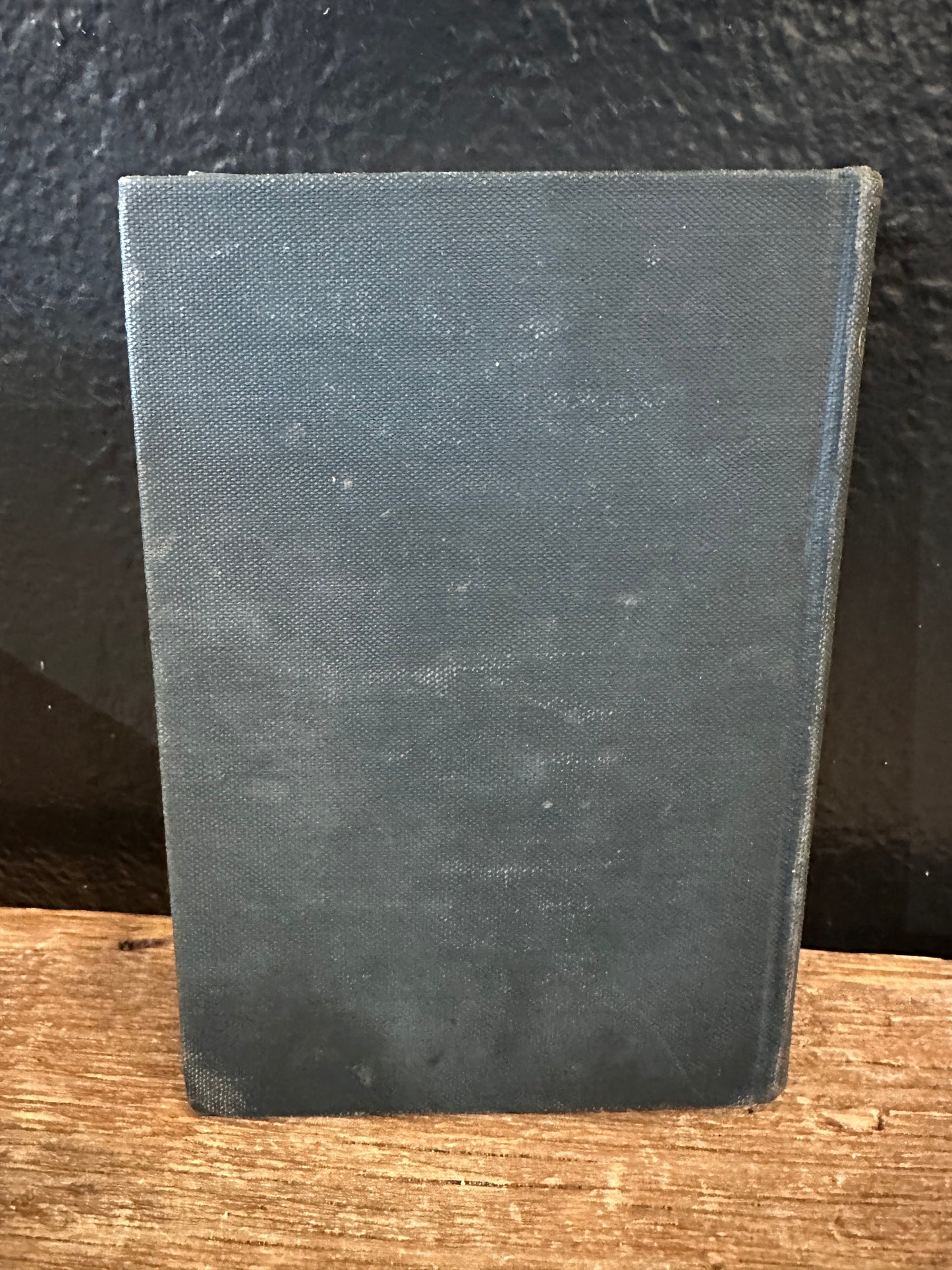 Antique Book ‘American Government’ ~ 1917