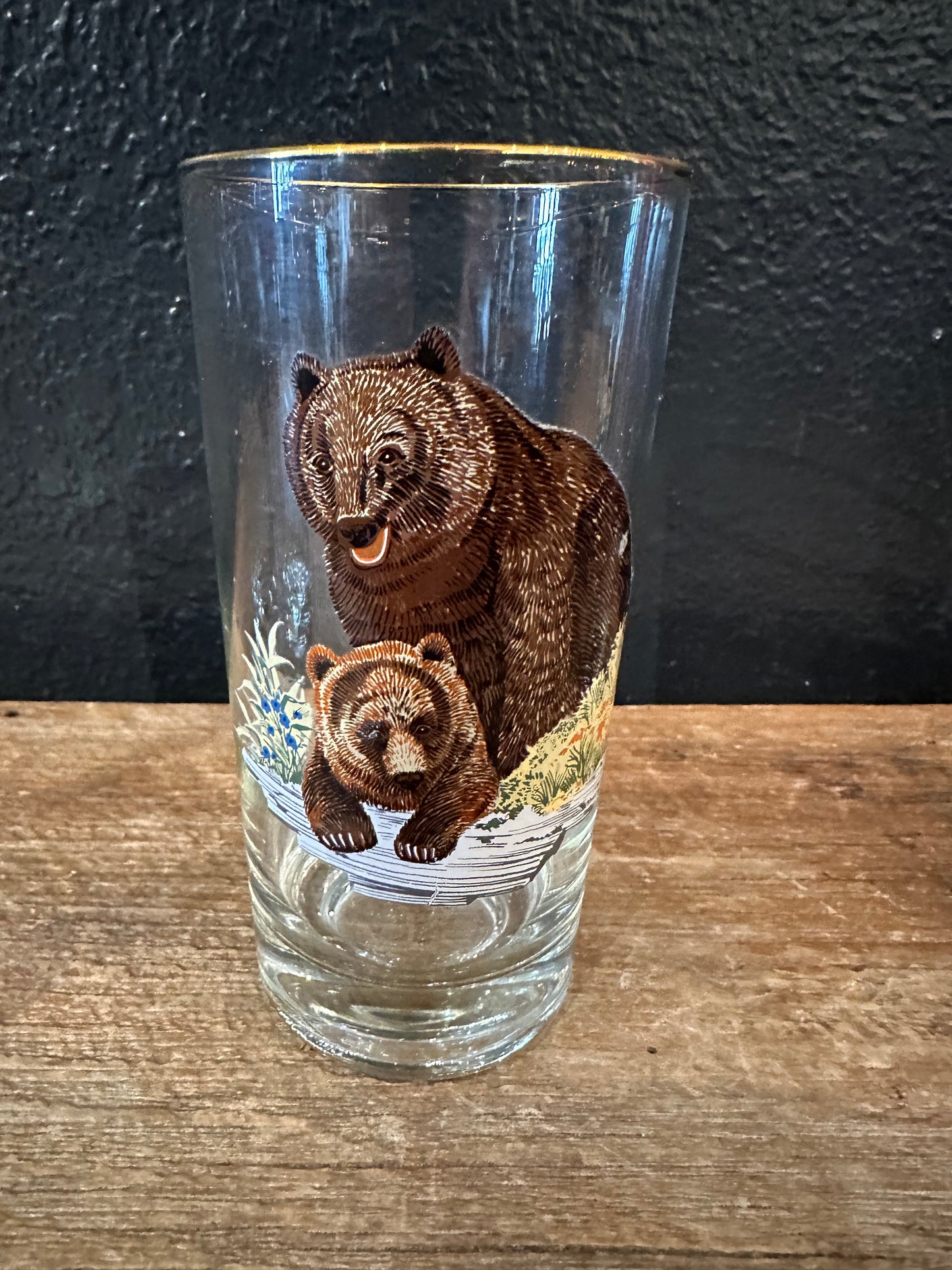 Vintage MCM Wildlife Highball Glasses | Set Of Four