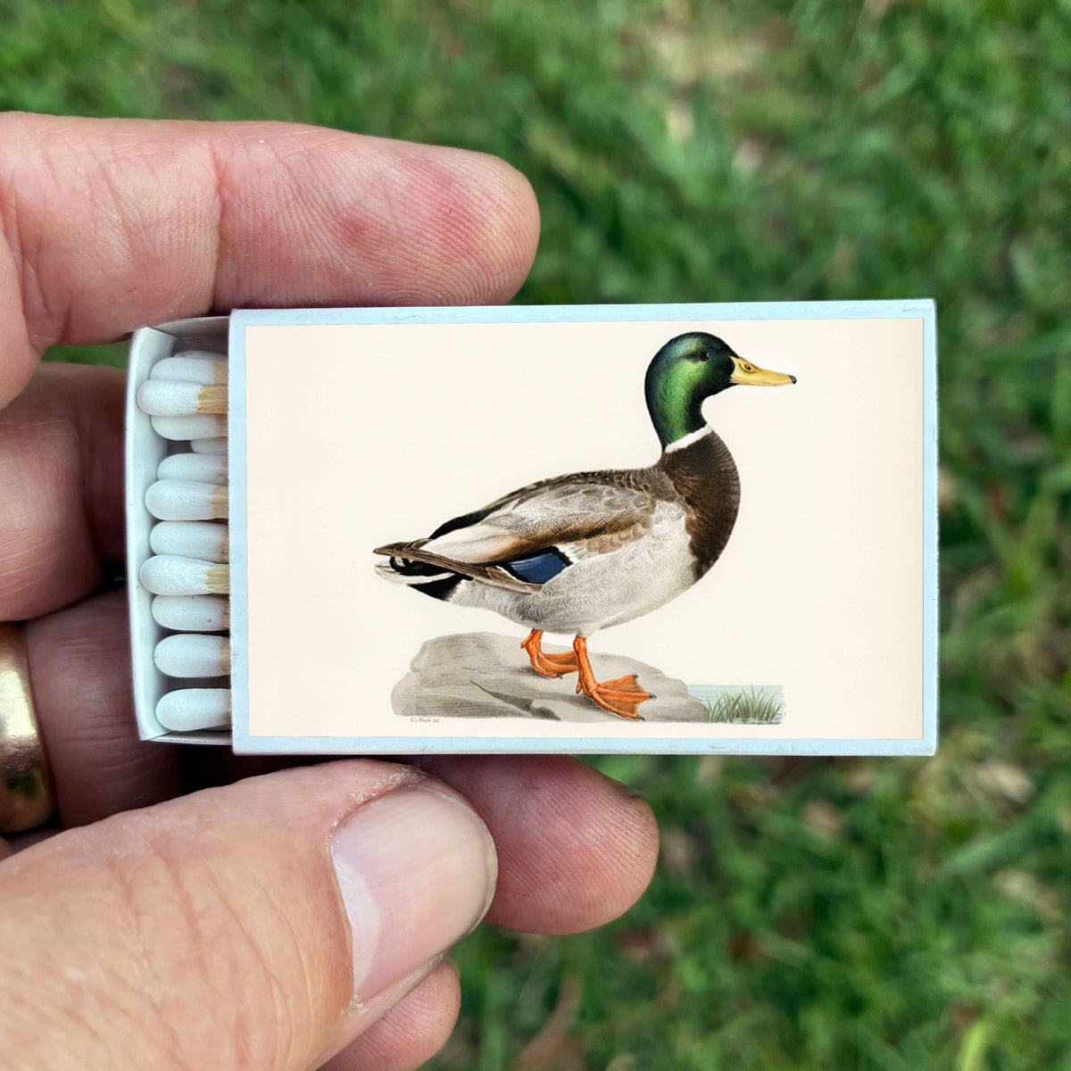 Matches Mallard Duck