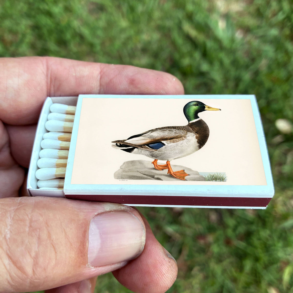 Matches Mallard Duck