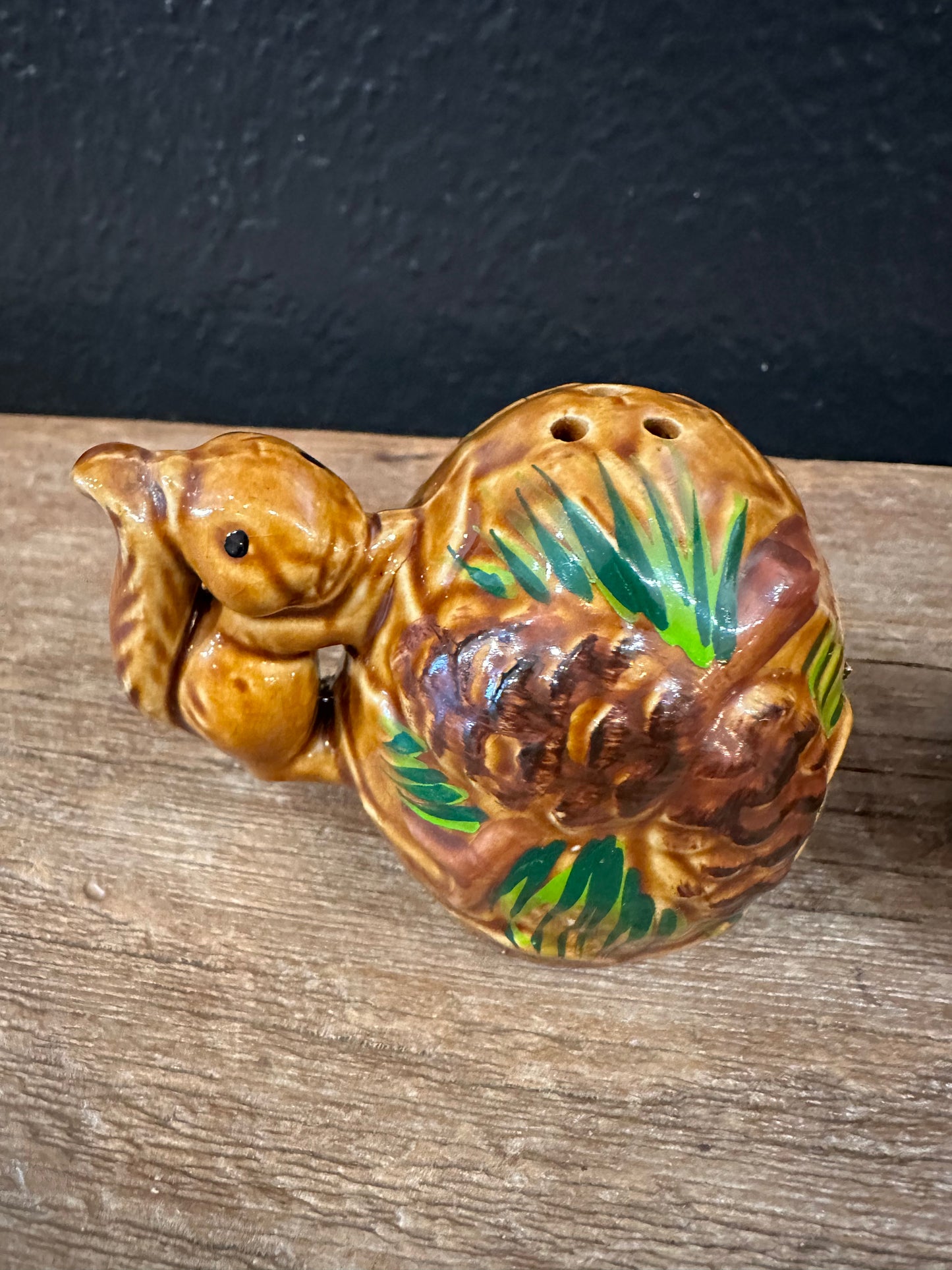 Vintage Squirrel & Pinecone Themed Salt & Pepper Shakers