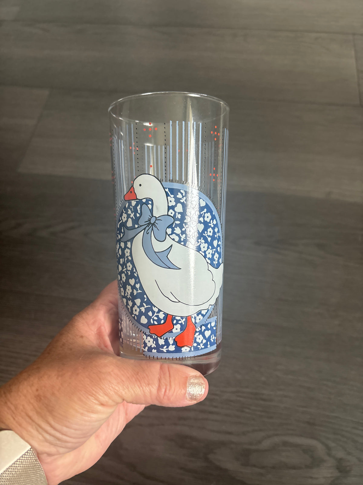Vintage Porch Goose Glasses | Set of 5