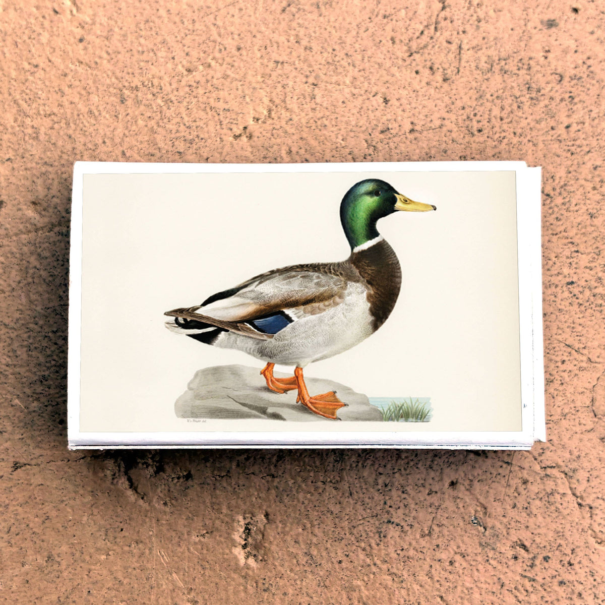 Matches Mallard Duck