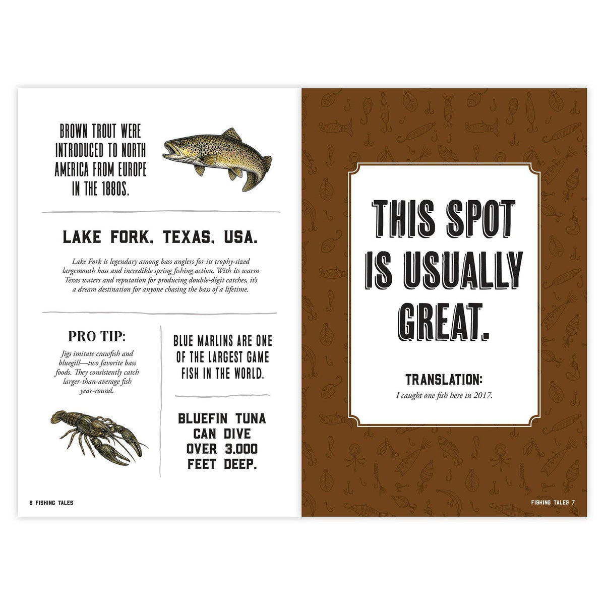 Fishing Tales Book