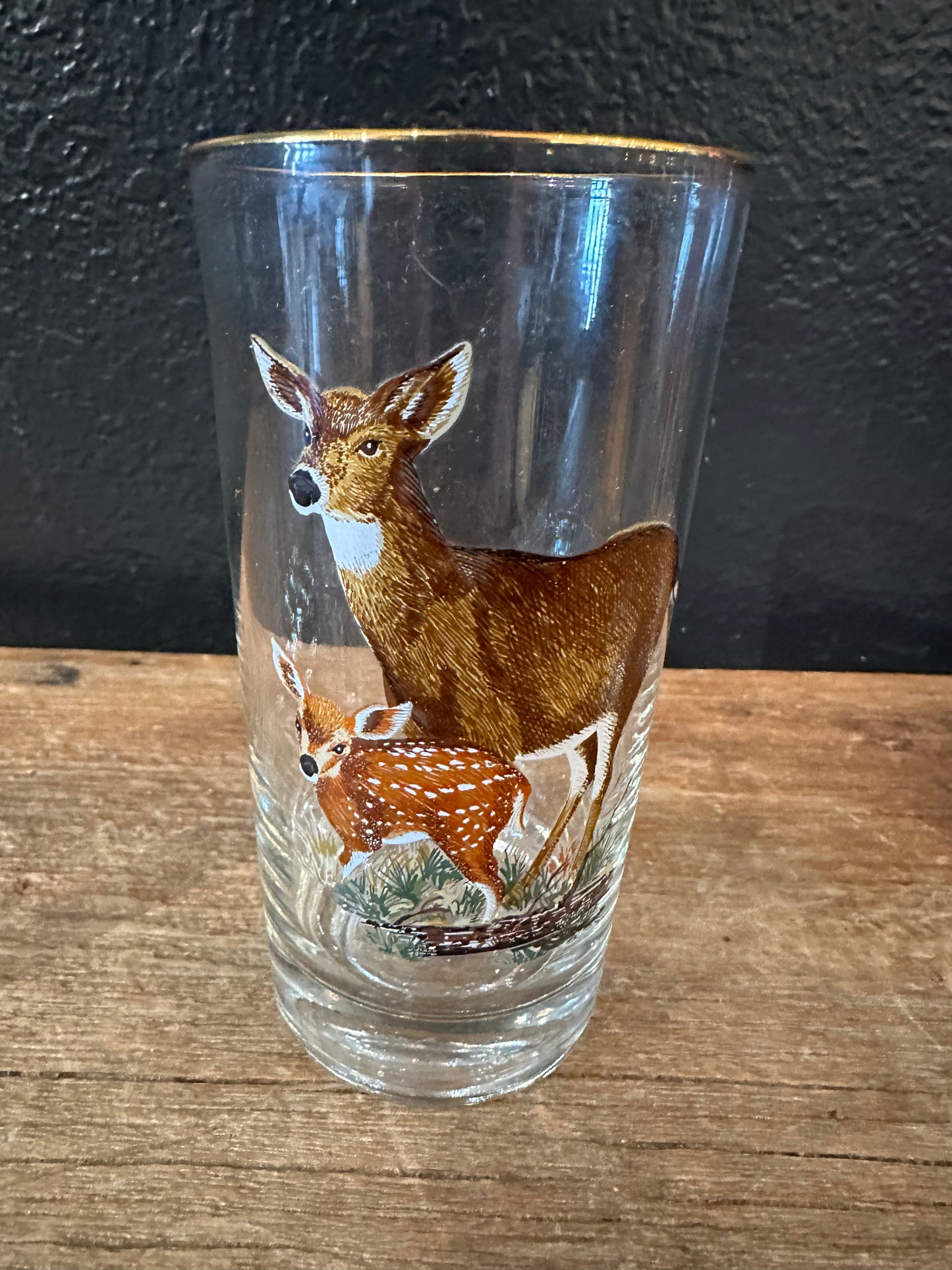 Vintage MCM Wildlife Highball Glasses | Set Of Four
