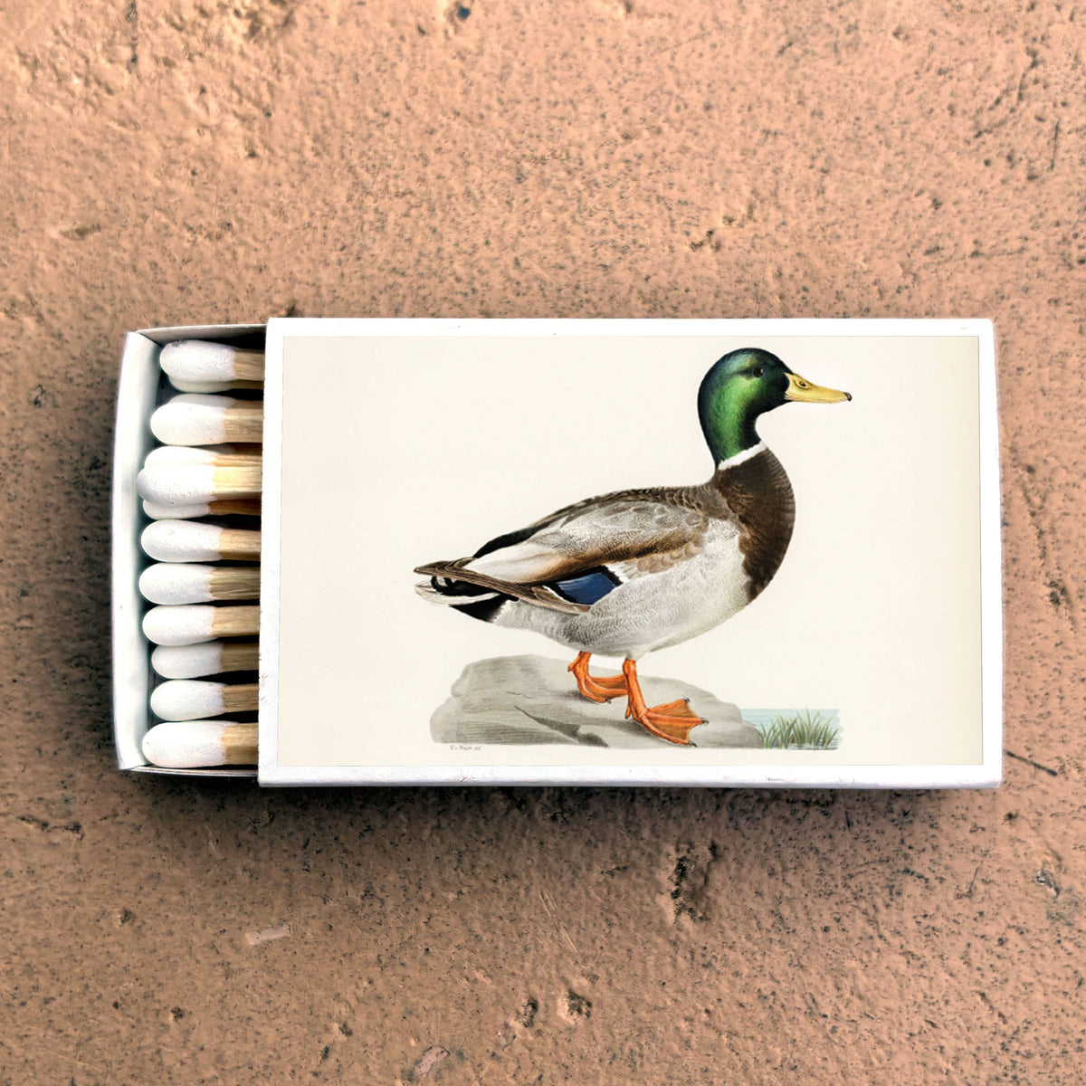 Matches Mallard Duck