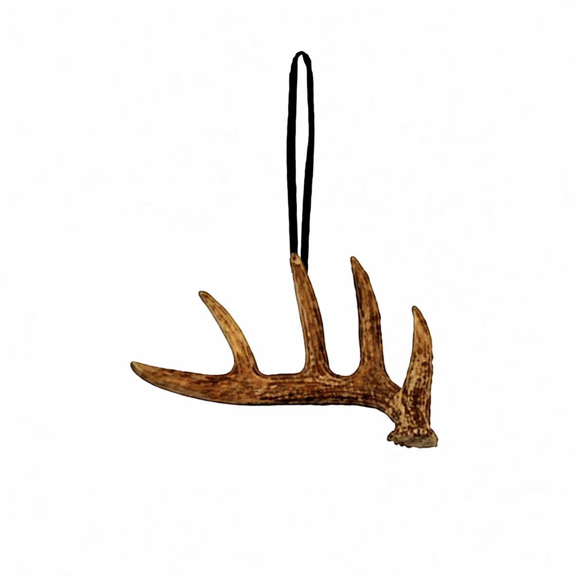 Whitetail Deer Antler Ornament