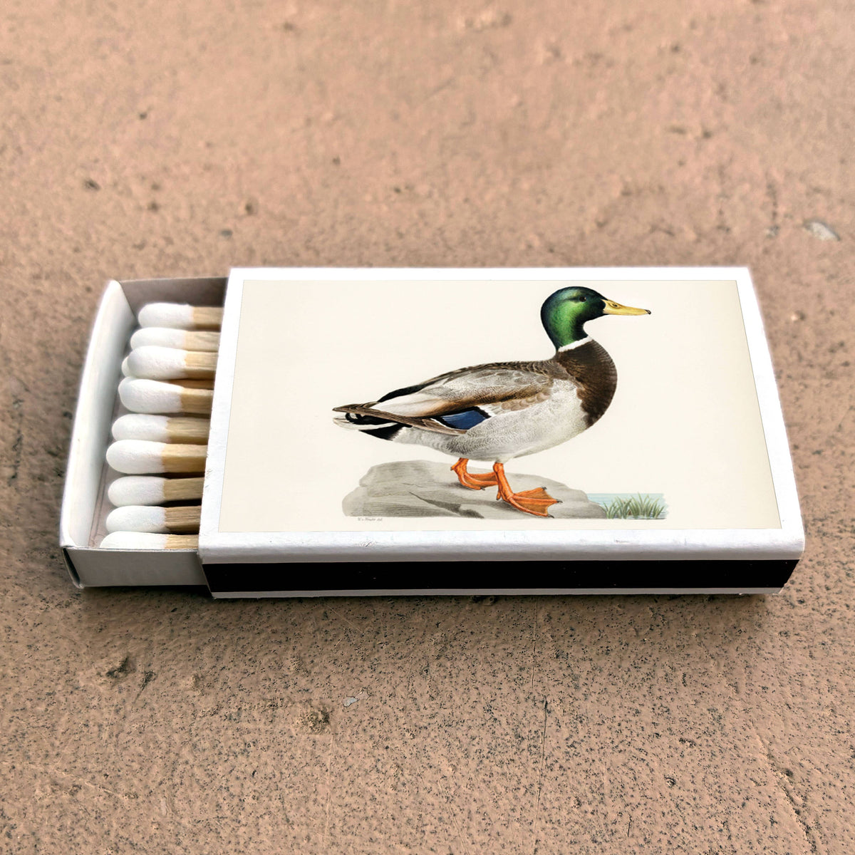 Matches Mallard Duck
