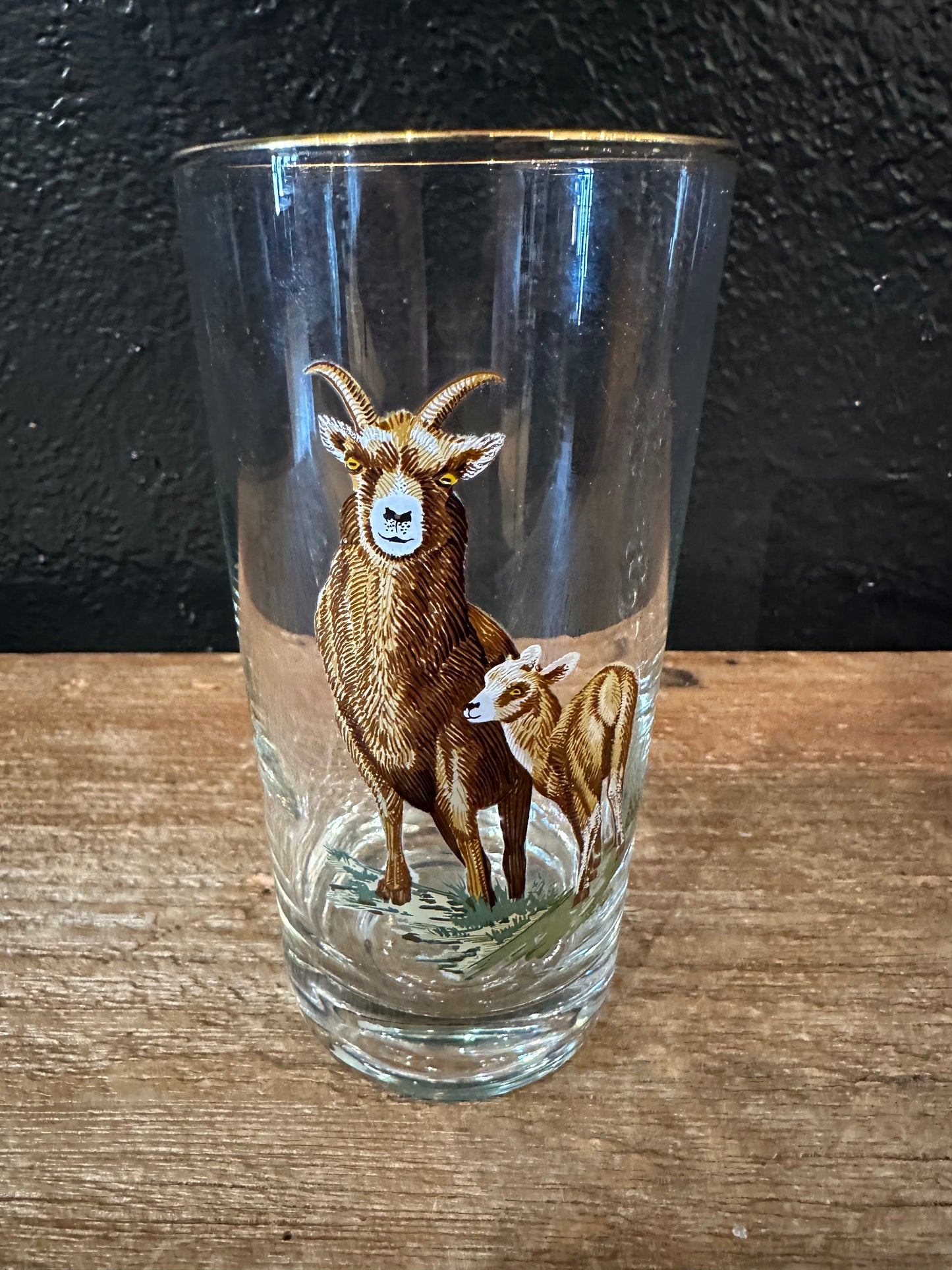 Vintage MCM Wildlife Highball Glasses | Set Of Four