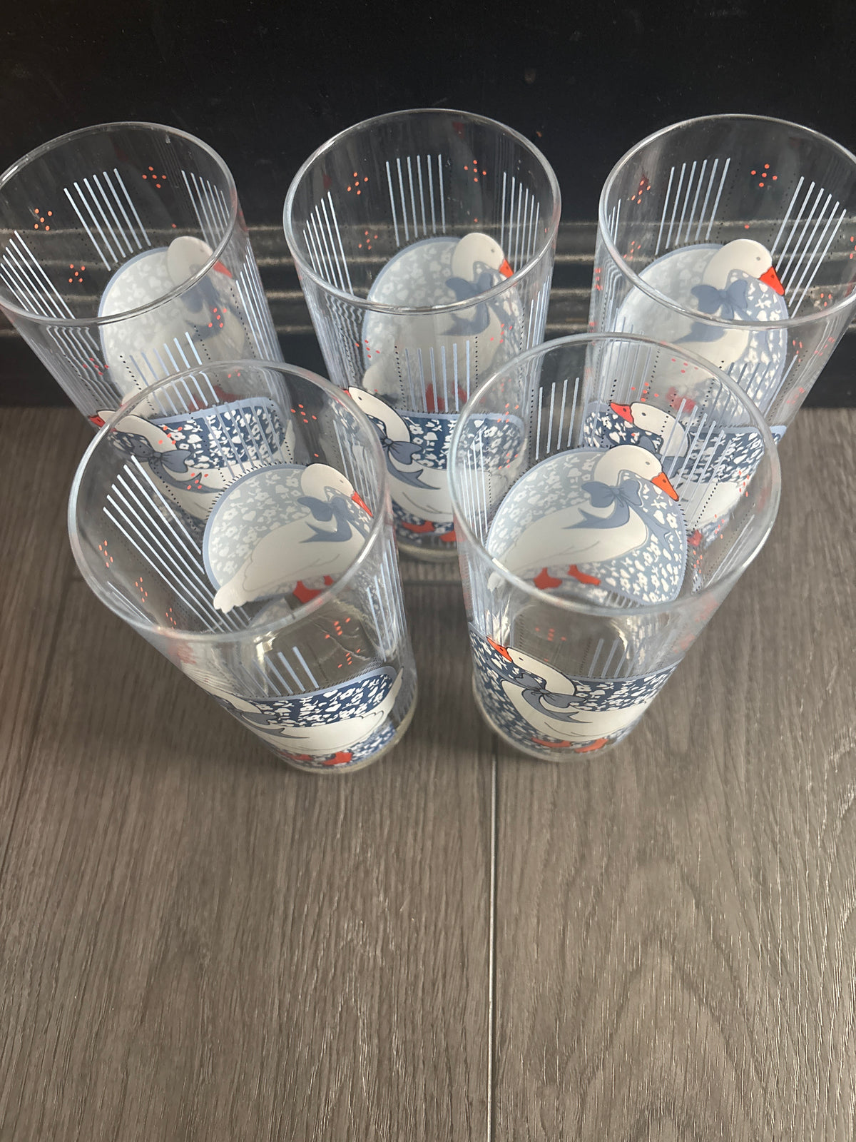 Vintage Porch Goose Glasses | Set of 5