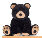 Woody the Black Bear