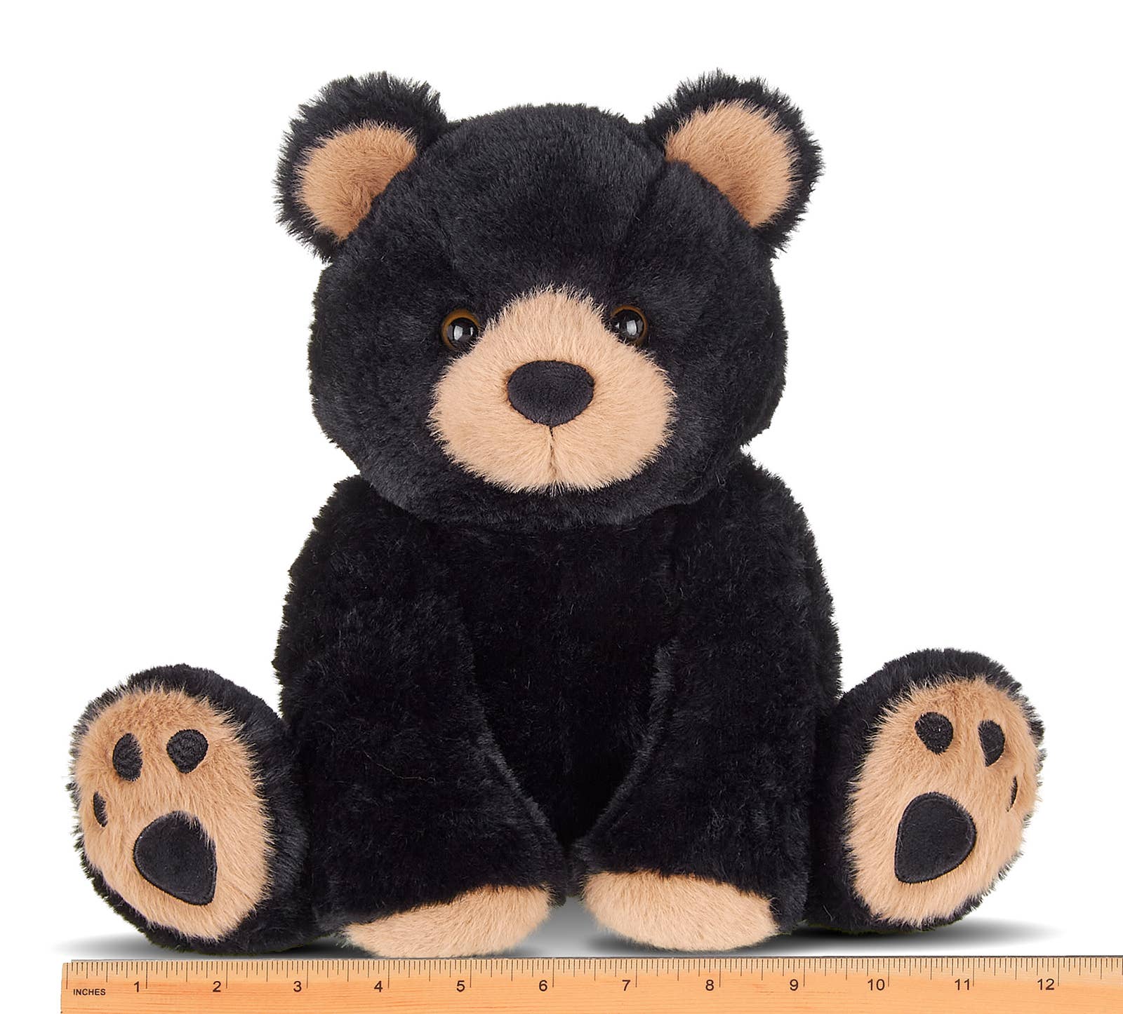 Woody the Black Bear
