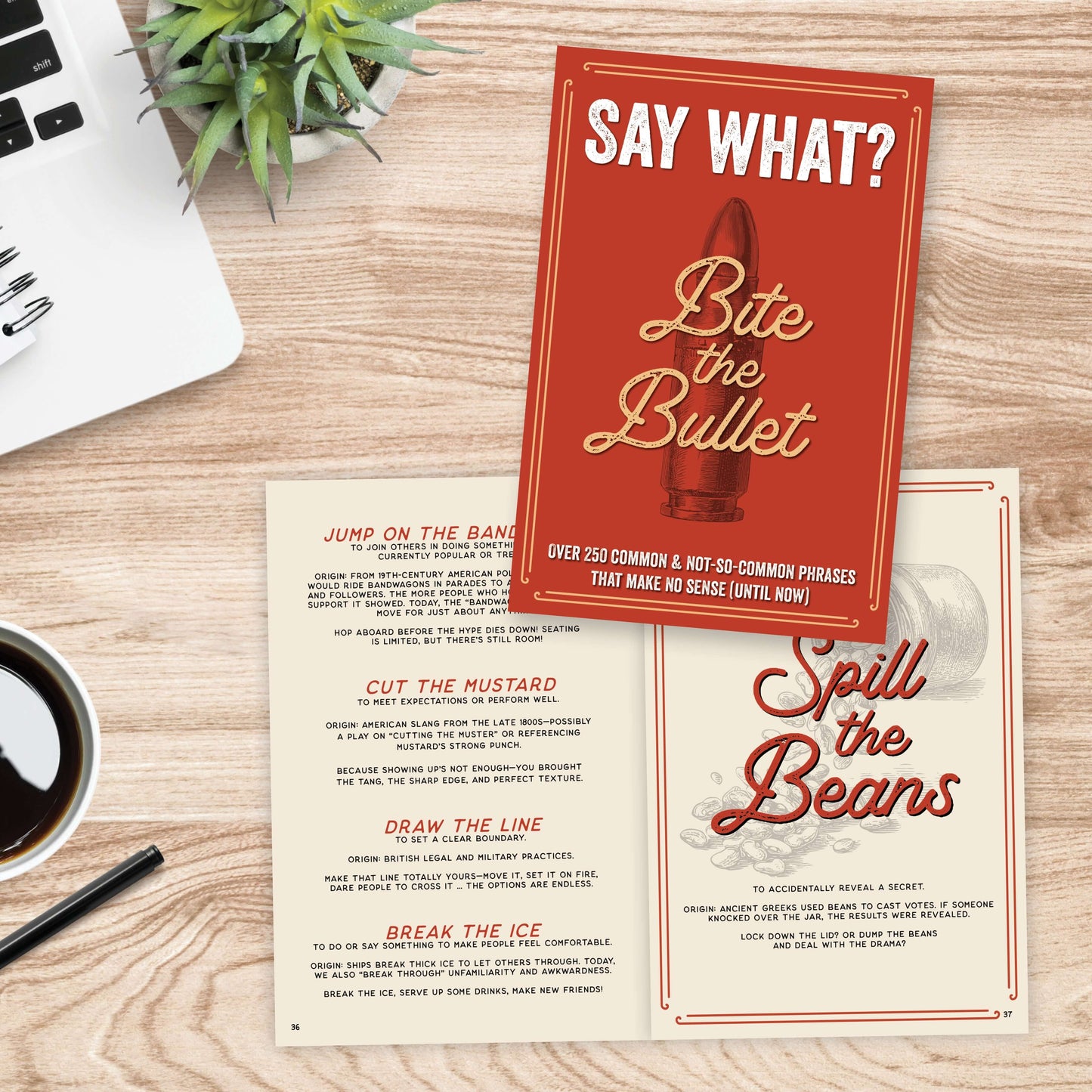 Say What? Book