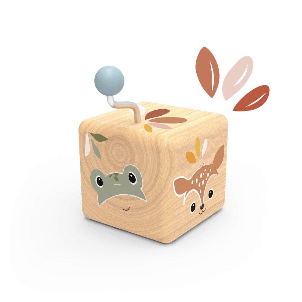 Music  Boxes