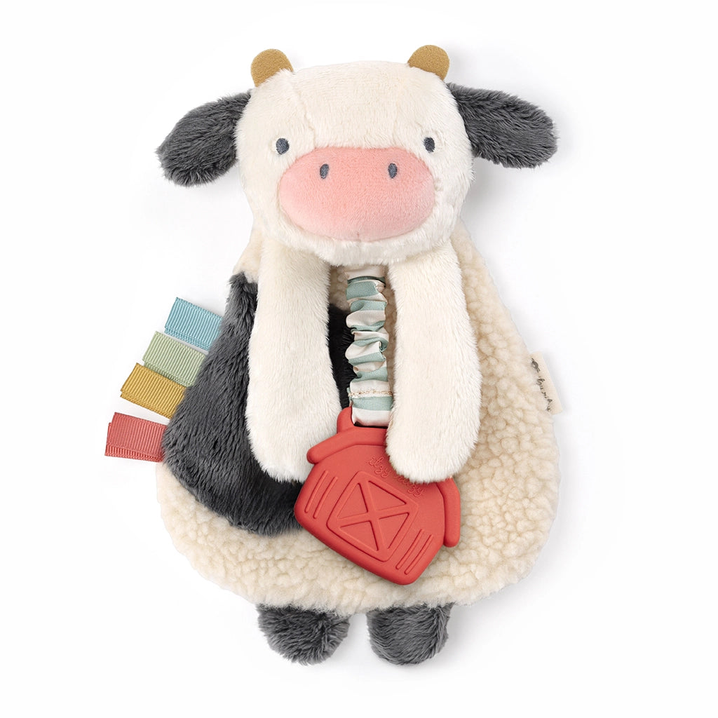 Lovey Plush Crinkle Teether Toy