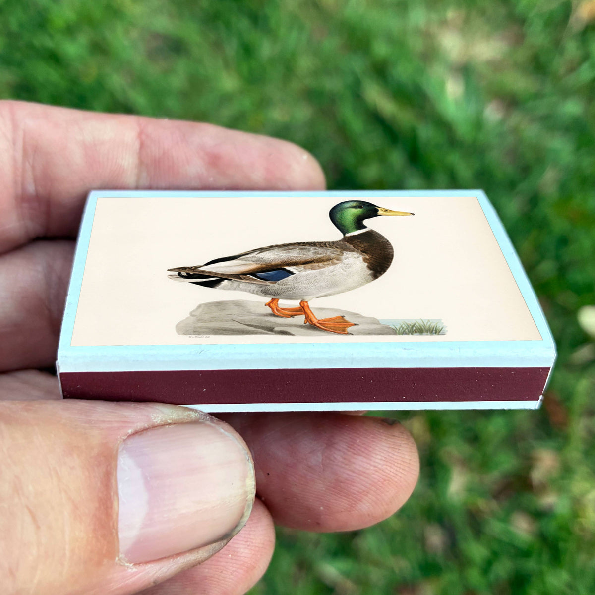Matches Mallard Duck
