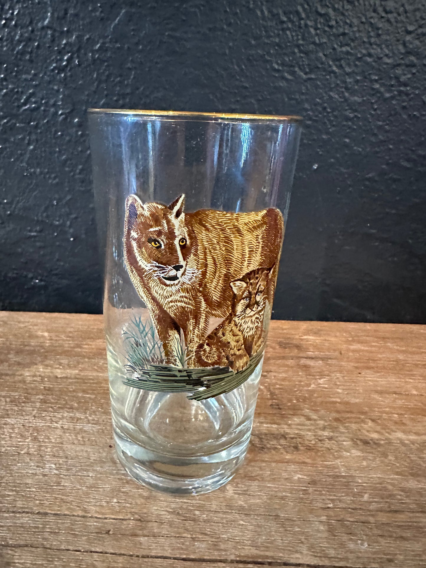 Vintage MCM Wildlife Highball Glasses | Set Of Four