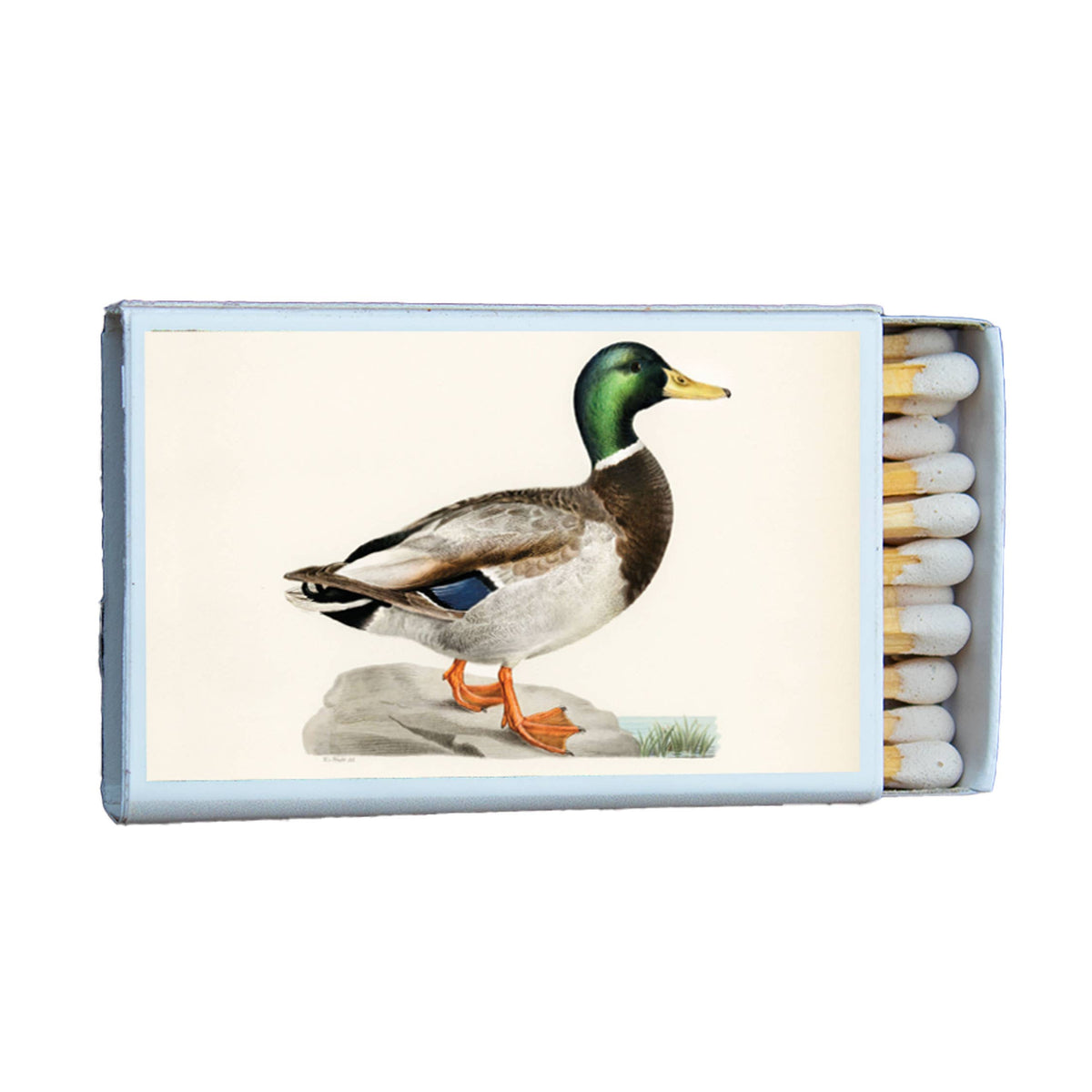 Matches Mallard Duck