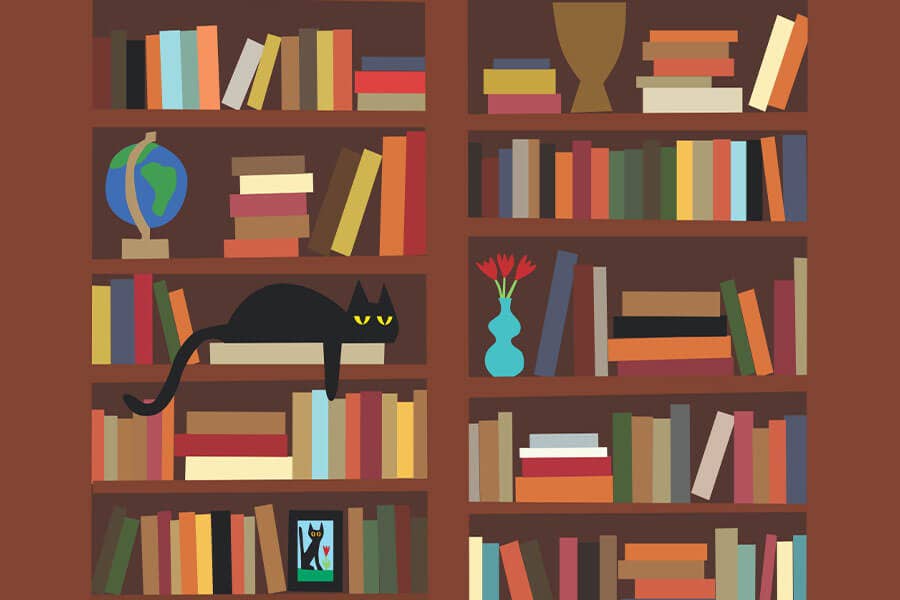 Bookcase Mini Puzzle