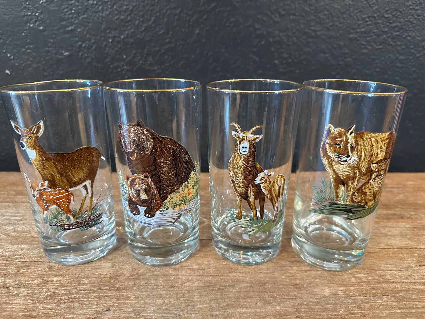 Vintage MCM Wildlife Highball Glasses | Set Of Four