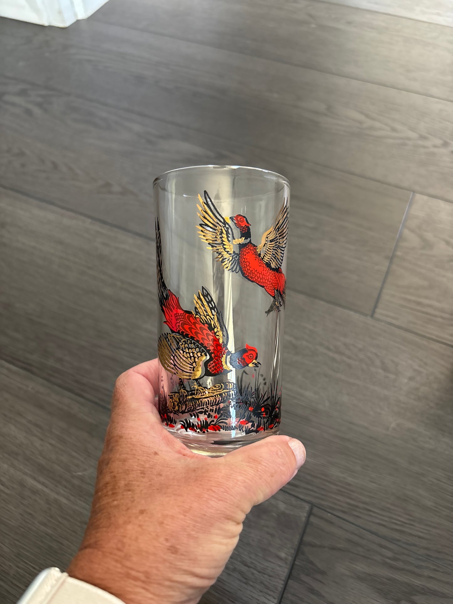 Hazel Atlas Ring Necked Pheasant Tumblers | Set of 6