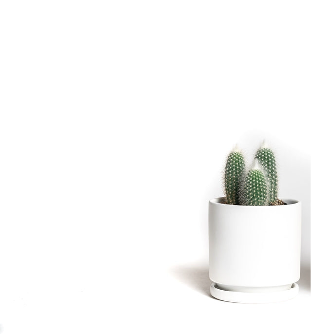 4.5” Cylinder Pot With Water Saucer - White