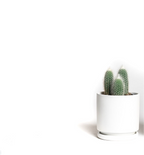 4.5” Cylinder Pot With Water Saucer - White