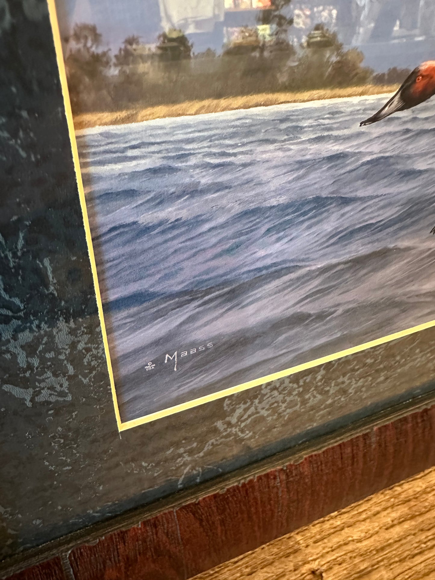 Framed Duck Print By David A. Maass