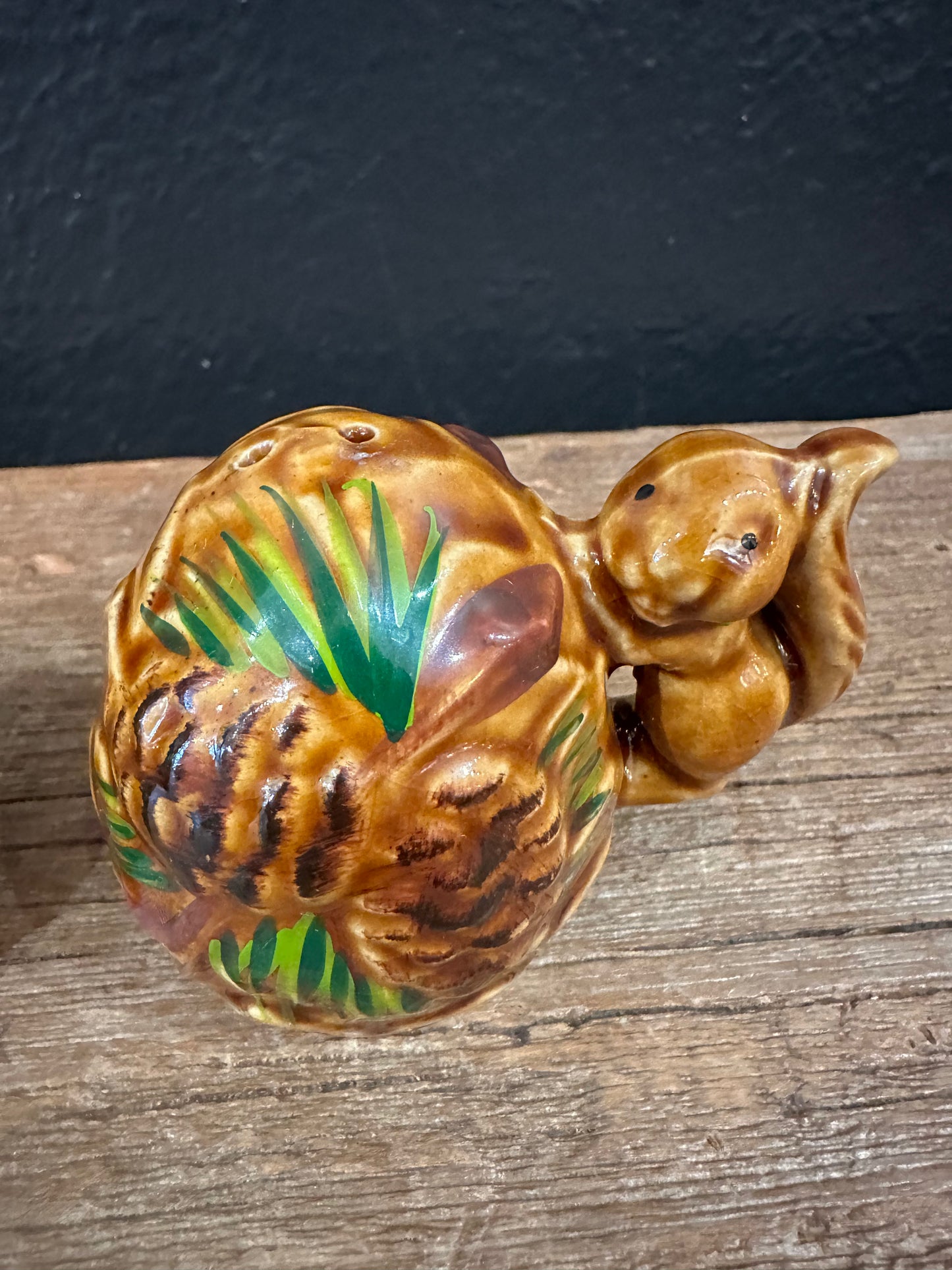 Vintage Squirrel & Pinecone Themed Salt & Pepper Shakers