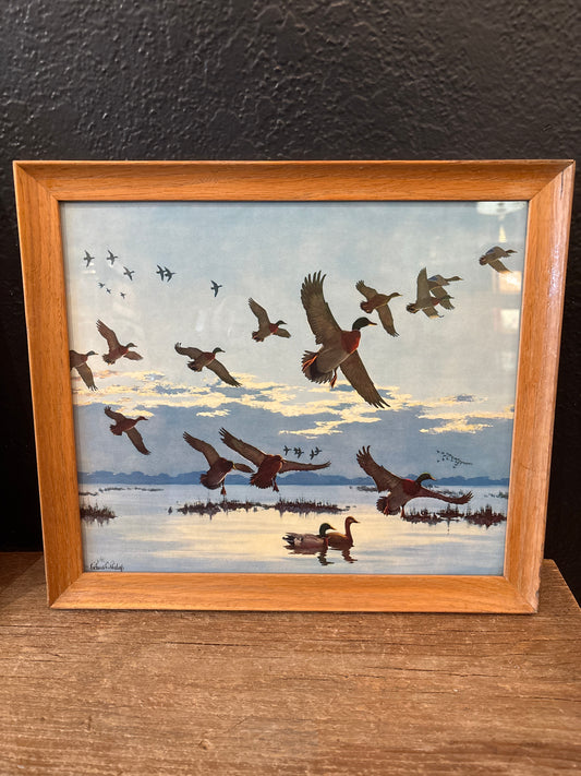 Framed Duck Print | Signed