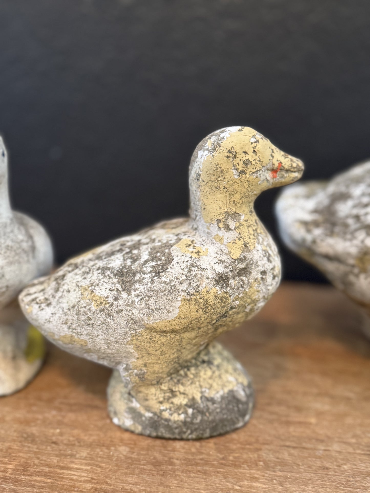 Vintage Concrete Duck + 3 Babies