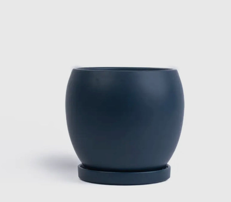 Bollé Pot with Water Saucer