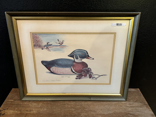 Vintage Wood Duck Print In Frame