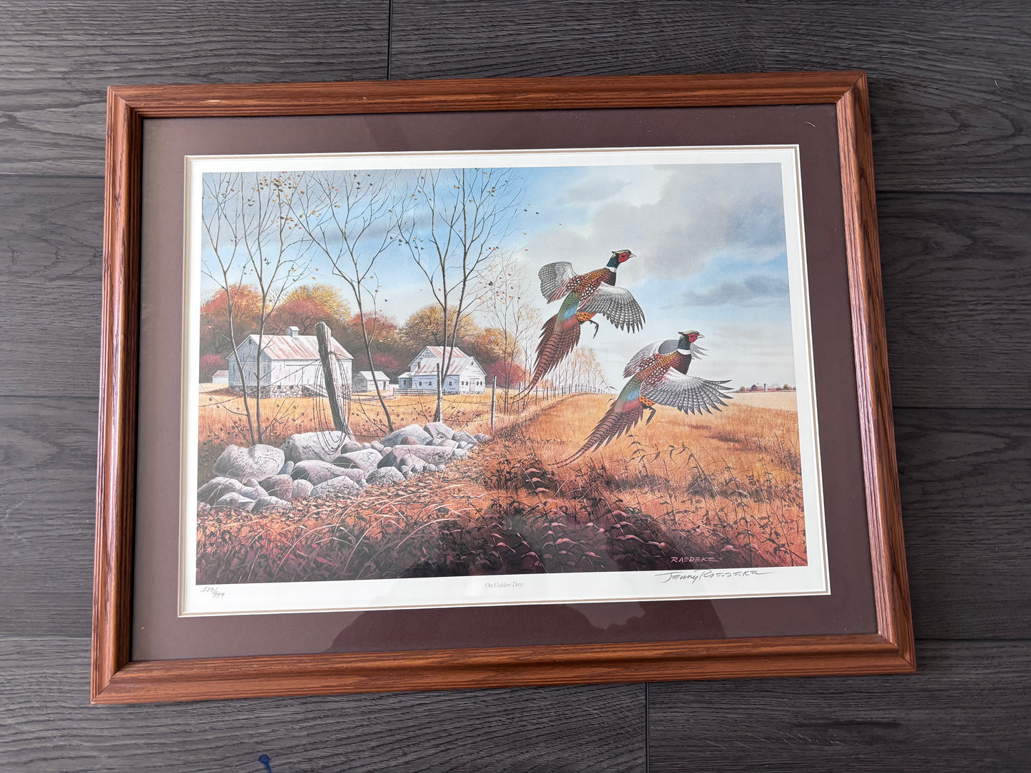 “On Golden Days” Framed Pheasant Print