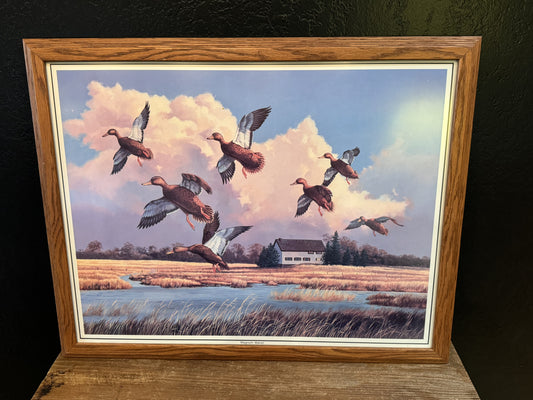 "Magnum Manor" Duck Print in Frame