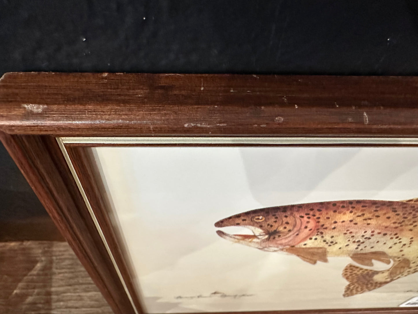 Framed Trout Print