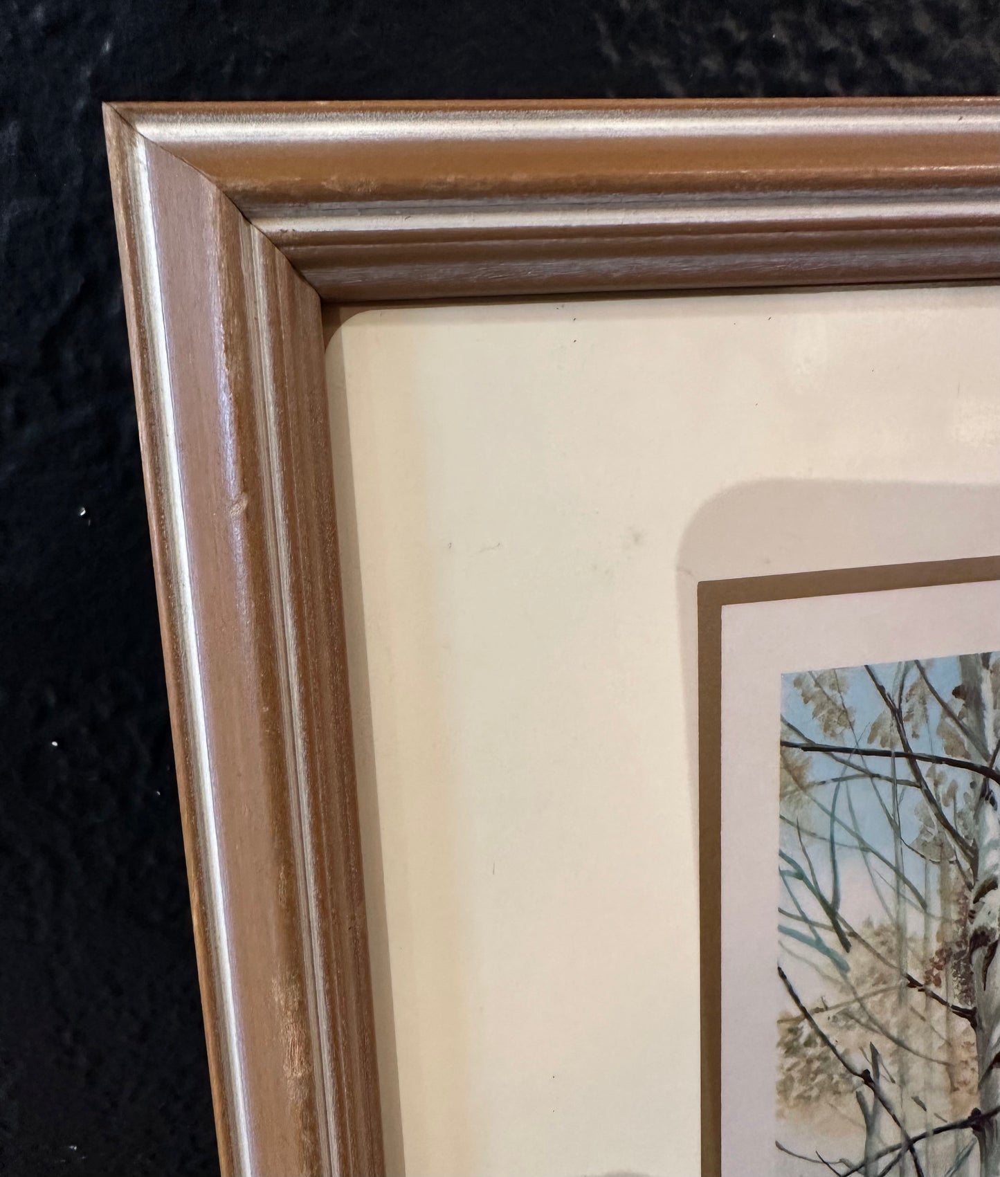 Vintage Wood Duck Picture