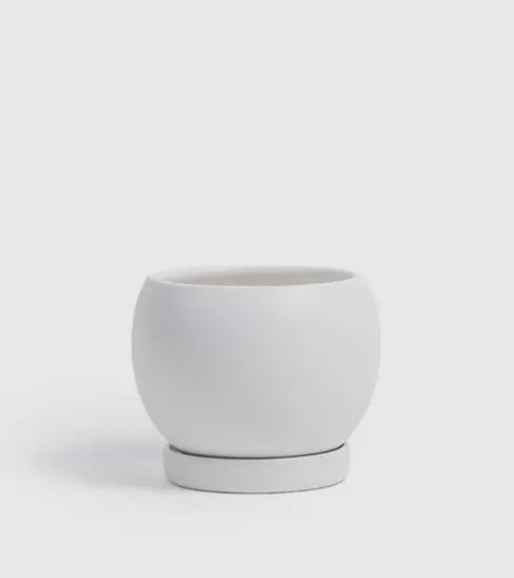 Bollé Pot with Water Saucer