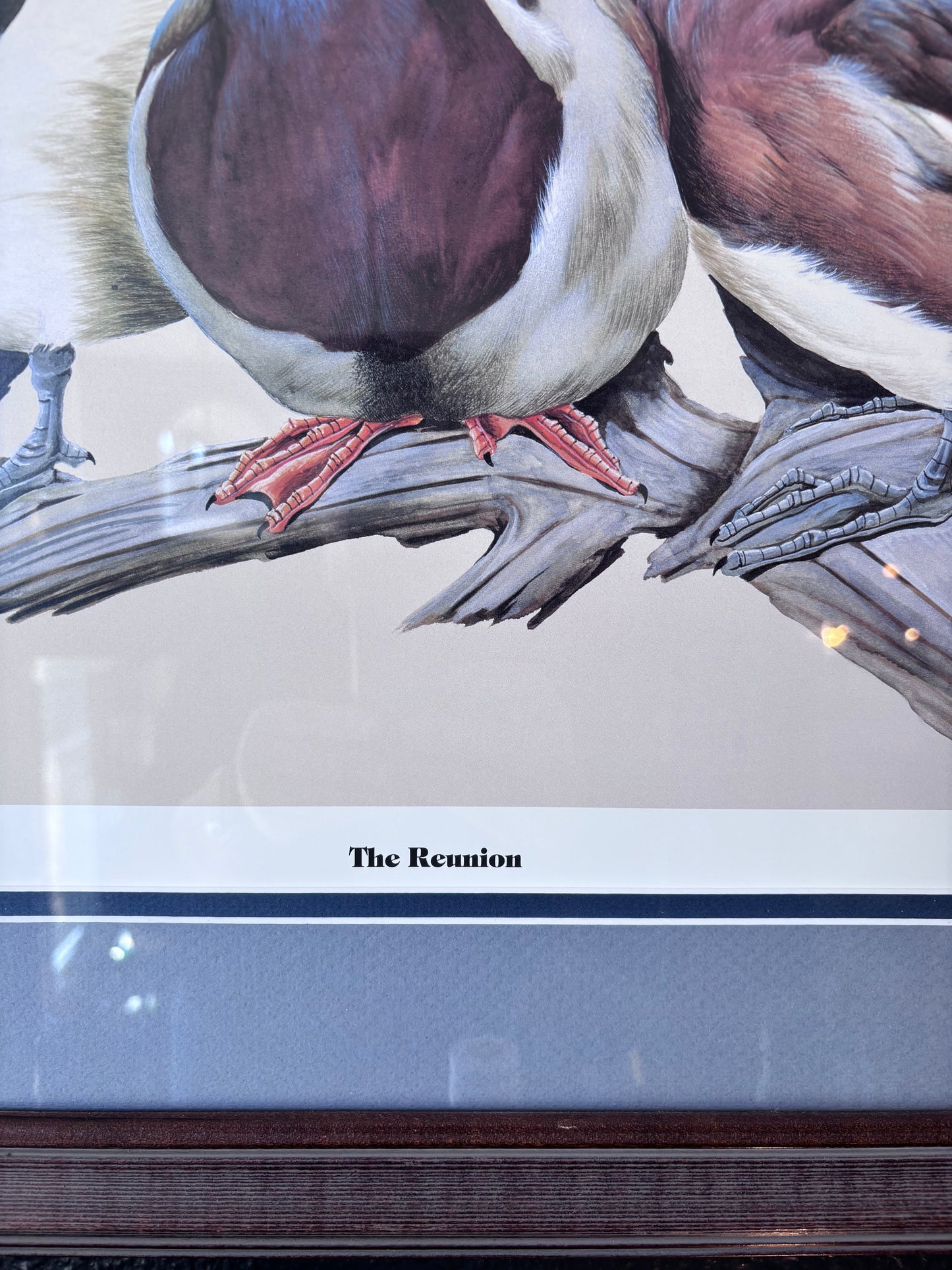 “The Reunion” Duck Print