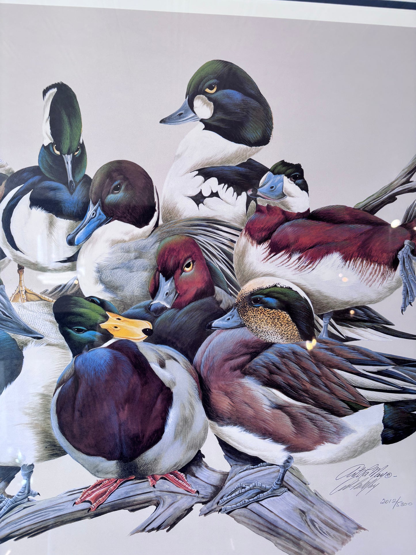 “The Reunion” Duck Print